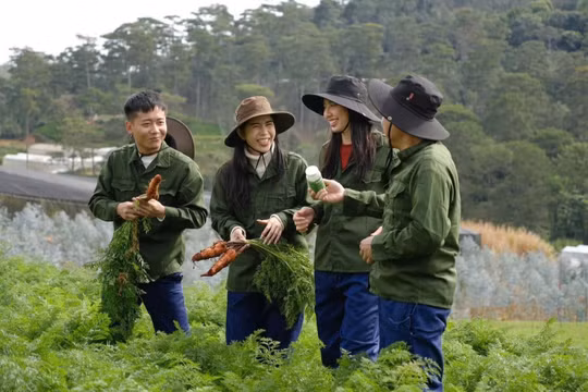 Vụ kẹo Kera: Chủ tịch công ty sản xuất hàng giả bị đề nghị truy tố