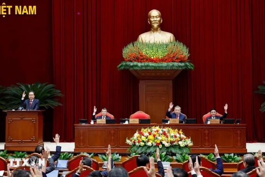 Các đại biểu thông qua chương trình Hội nghị Trung ương 2 khóa XIV. Ảnh: TTXVN.