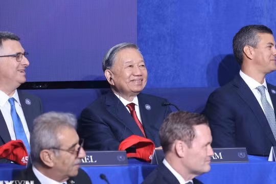 Việt Nam sẽ làm gì để triển khai Kế hoạch Hòa bình Gaza?