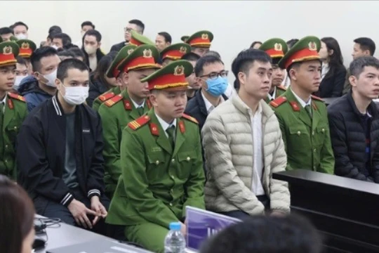 Tự xây dựng công thức 26 loại sữa giả, giám đốc thừa nhận không kiểm nghiệm