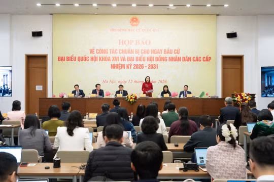 5 người tự ứng cử đại biểu Quốc hội khóa XVI gồm những ai?