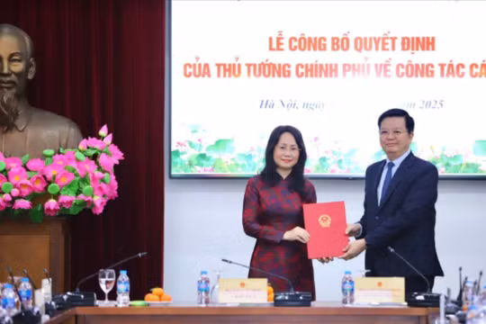 Phó chánh Văn phòng Trung ương Đảng làm Thứ trưởng Bộ Văn hóa Thể thao và Du lịch