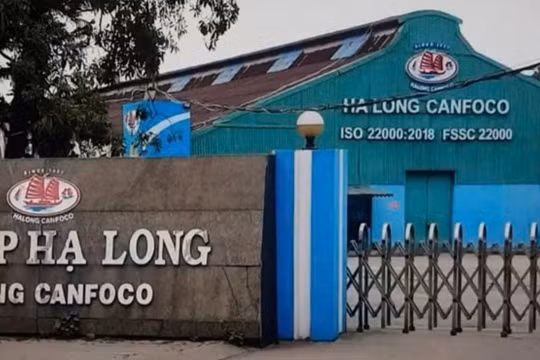 Vụ Công ty Cổ phần đồ hộp Hạ Long: Một cán bộ ra đầu thú