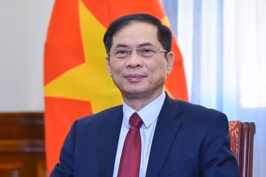 Phó thủ tướng Bùi Thanh Sơn nhận thêm nhiệm vụ mới