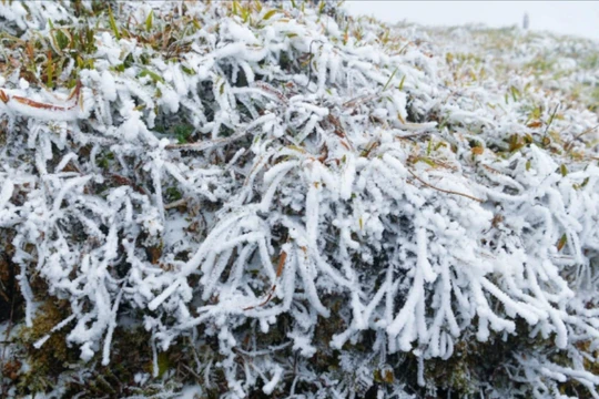 Bắc Bộ rét đậm, nhiều nơi có băng giá, sương muối