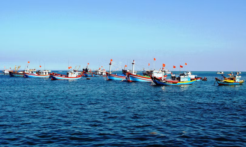 Ảnh minh họa. Nguồn Internet
