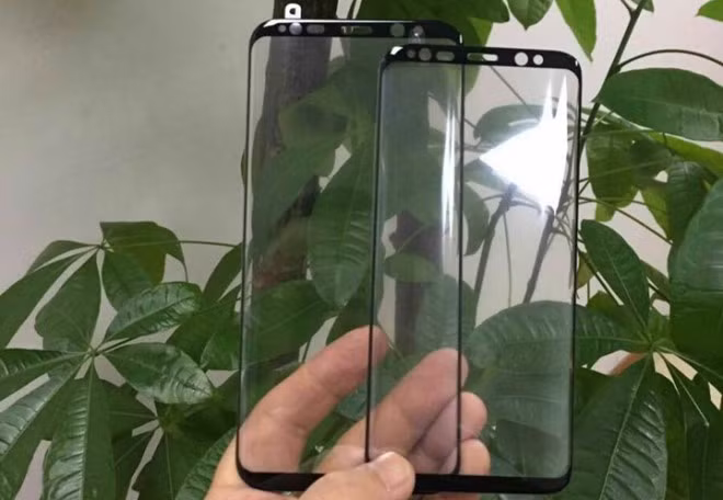 Hình ảnh được xem là tấm nền màn hình của Galaxy S8.