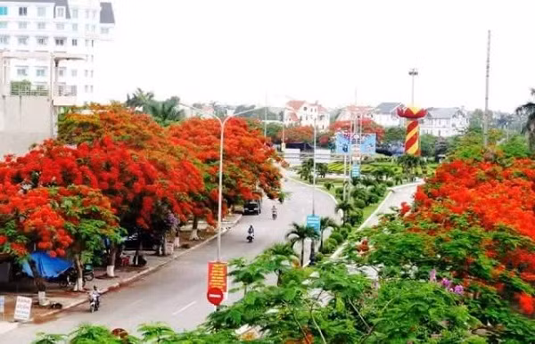 Ảnh minh họa - Nguồn: Cổng TTĐT HP