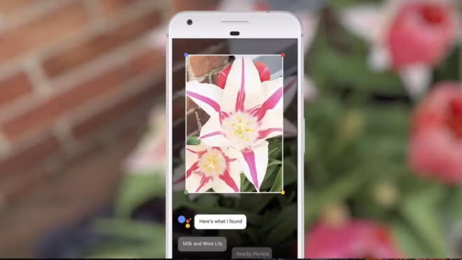 7 lý do Google sẽ tiêu diệt Apple trong tương lai hình ảnh 3 7 ly do Google se tieu diet Apple trong tuong lai hinh anh 3