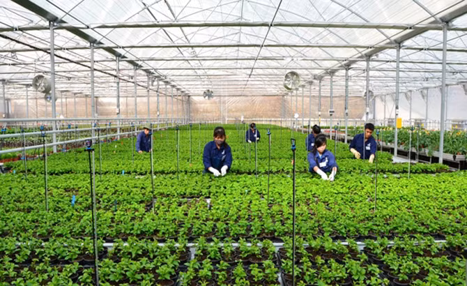 Để triển khai gói tín dụng 100.000 tỷ đồng cho NNCNC cần sự vào cuộc quyết liệt của các bộ, ban, ngành liên quan