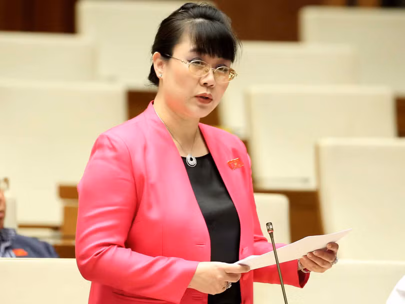 Bà Hường là đại biểu Quốc hội hai khoá 12 và 13 và là một trong 17 doanh nhân trúng cử đại biểu Quốc hội khoá 14