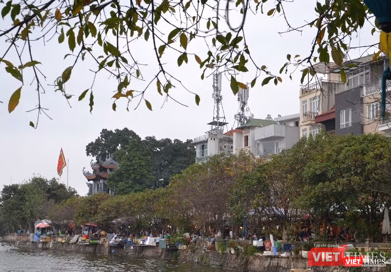 Phủ Tây Hồ chật kín người đi lễ đầu xuân ảnh 16