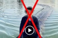 Dùng AI tạo video cưỡi trăn khổng lồ ở hồ Hoàn Kiếm để câu view