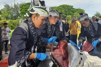 Gia Lai quảng bá với khách du lịch bằng ẩm thực cá ngừ đại dương.