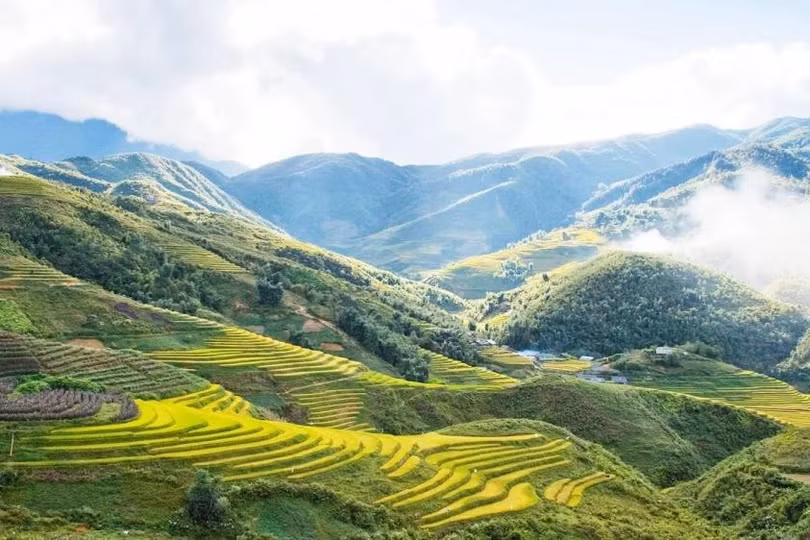 Tỉnh Điện Biên