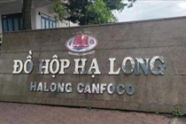 Ai đang nắm cổ phần Đồ hộp Hạ Long - công ty liên quan vụ 120 tấn thịt heo bệnh?