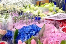 Khám phá chợ hoa lớn nhất Hà Nội dịp giáp Tết