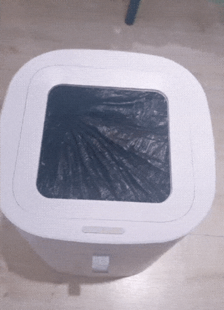 Ảnh: BrightSide Ảnh: BrightSide