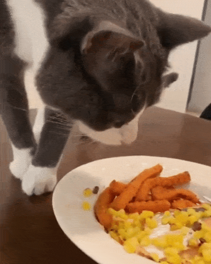 Ảnh: BrightSide Ảnh: BrightSide