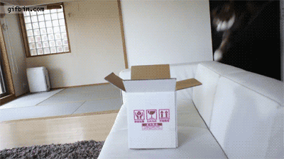 Ảnh: List25 Ảnh: List25