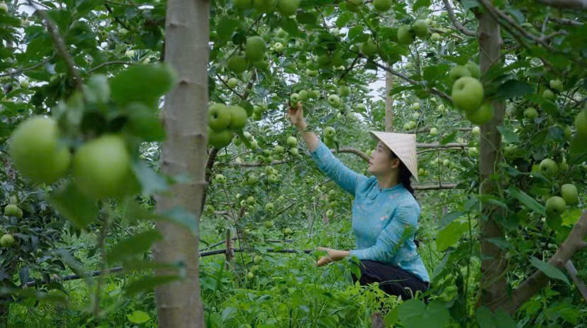 Làng quê Trung Quốc qua ống kính trở nên bình dị, thu hút nhiều người. (Ảnh: Instagram) 