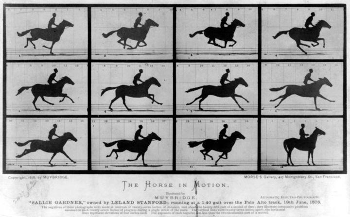 The Horse in Motion The Horse in Motion