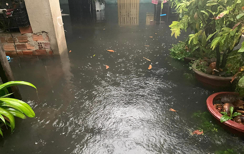 da nang ngap 18 9 5.png