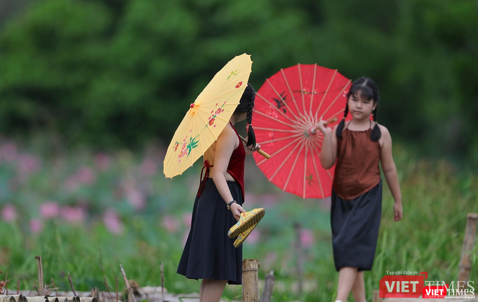 Cánh đồng sen thu hút cả nhưng em bé