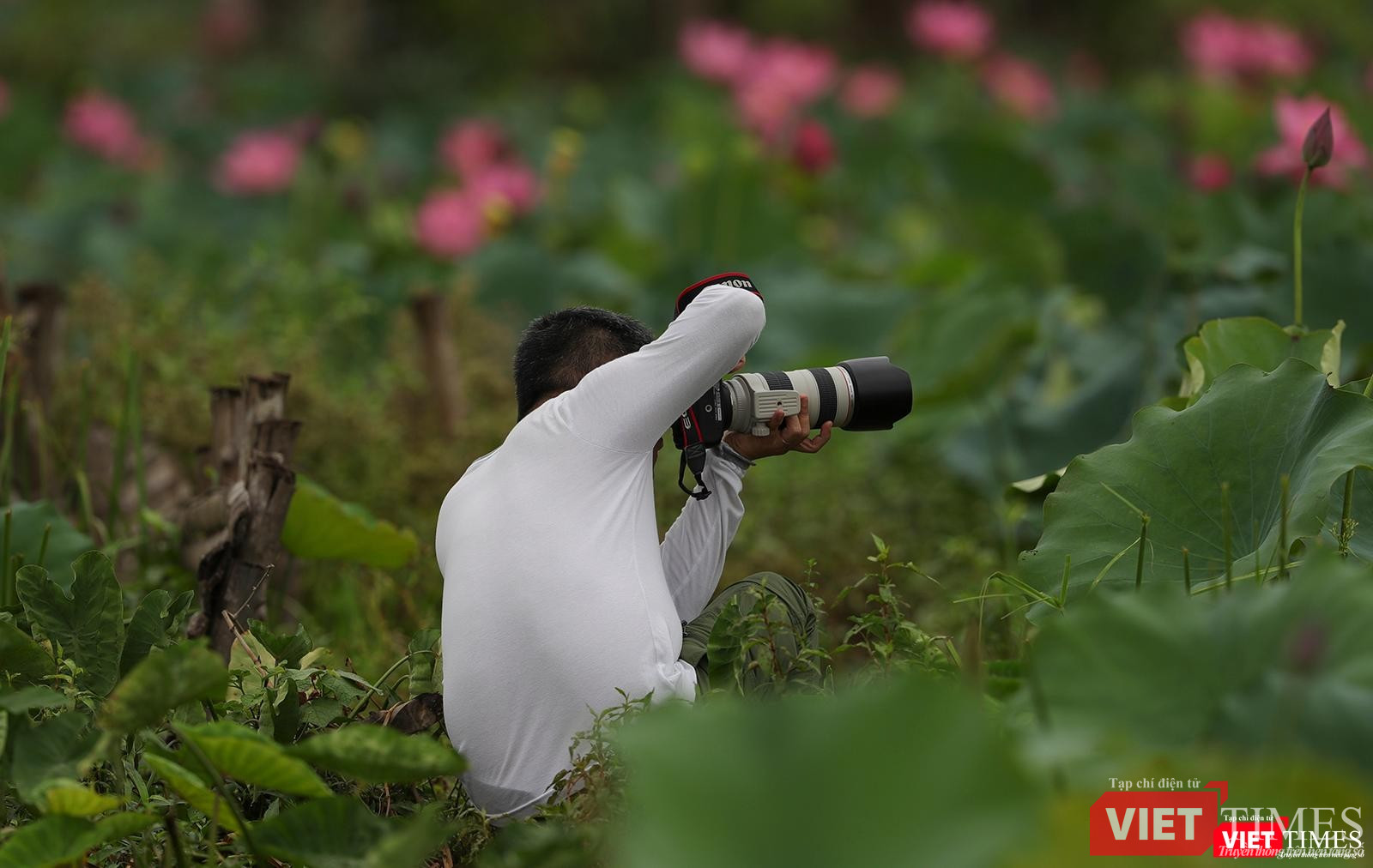 Mê hoặc giới nhiếp ảnh