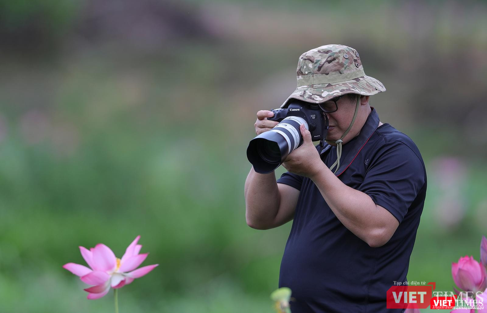 Vẻ đẹp của hoa sen thu hút rất đông giới mê ảnh