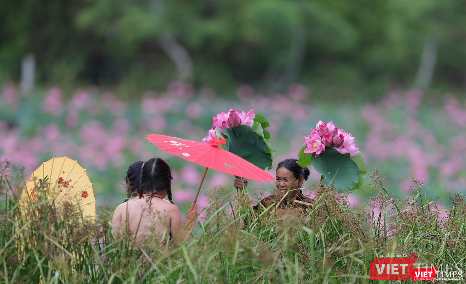 Du khách đổ về cánh đống sen