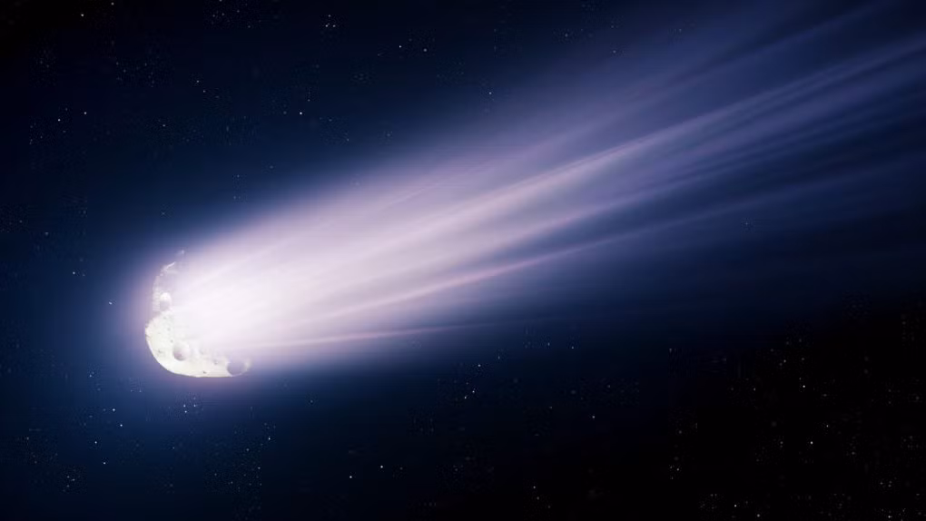 sao choi - Shuterstock.jpg