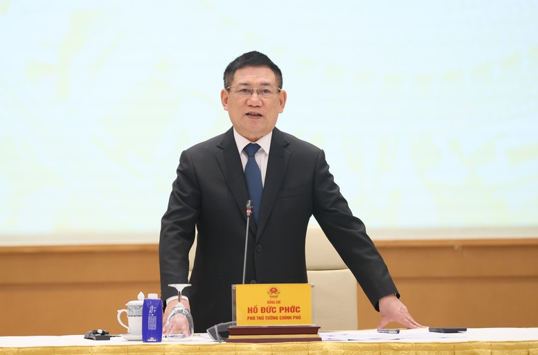 Phó Thủ tướng Hồ Đức Phớc: Chính phủ Việt Nam tiếp tục đẩy mạnh các giải pháp tăng cường mua nguyên liệu, thiết bị từ phía Hoa Kỳ. Ảnh VGP/Trần Mạnh.