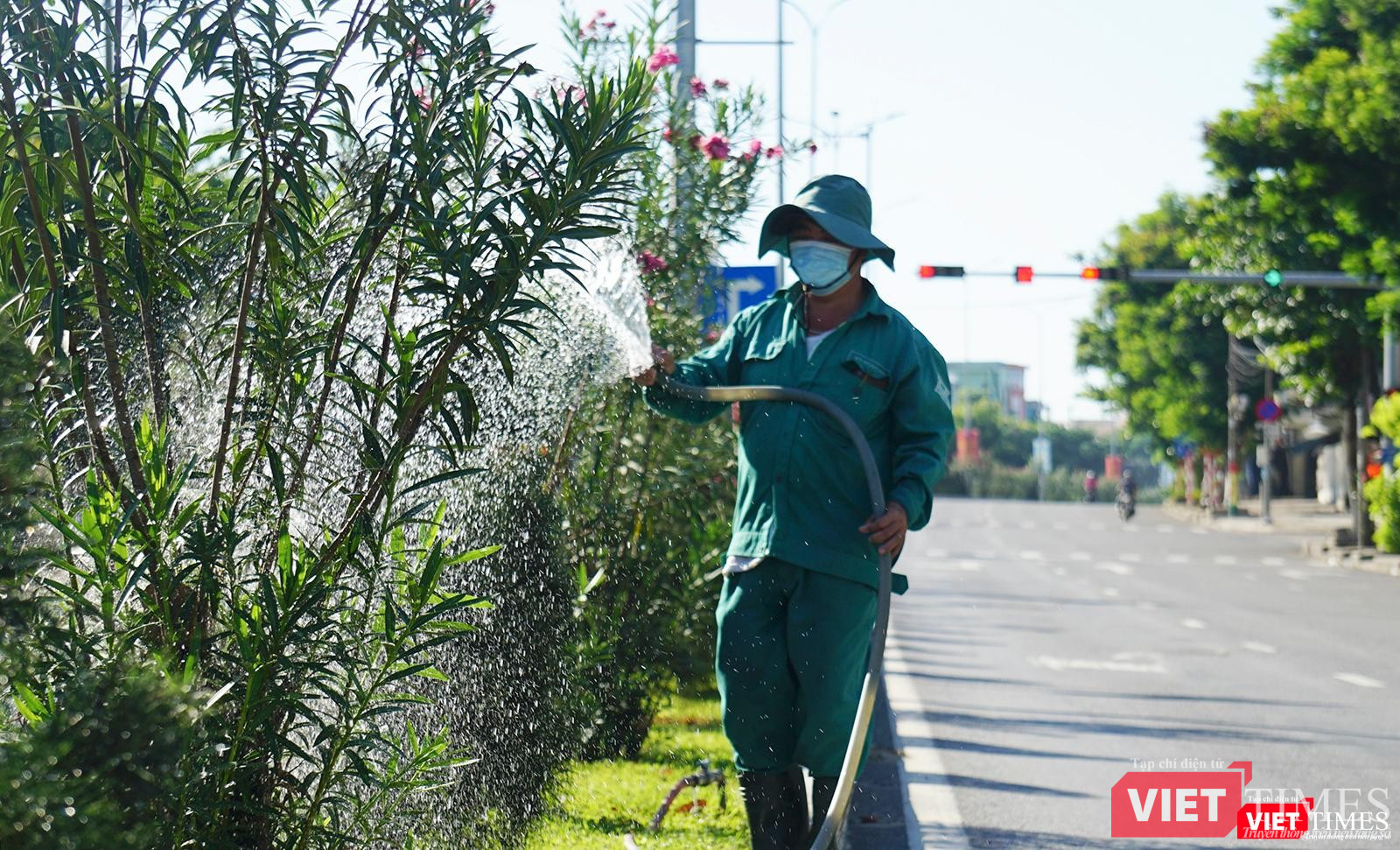 Chỉ có lực lượng công nhân cây xanh chăm sóc cây