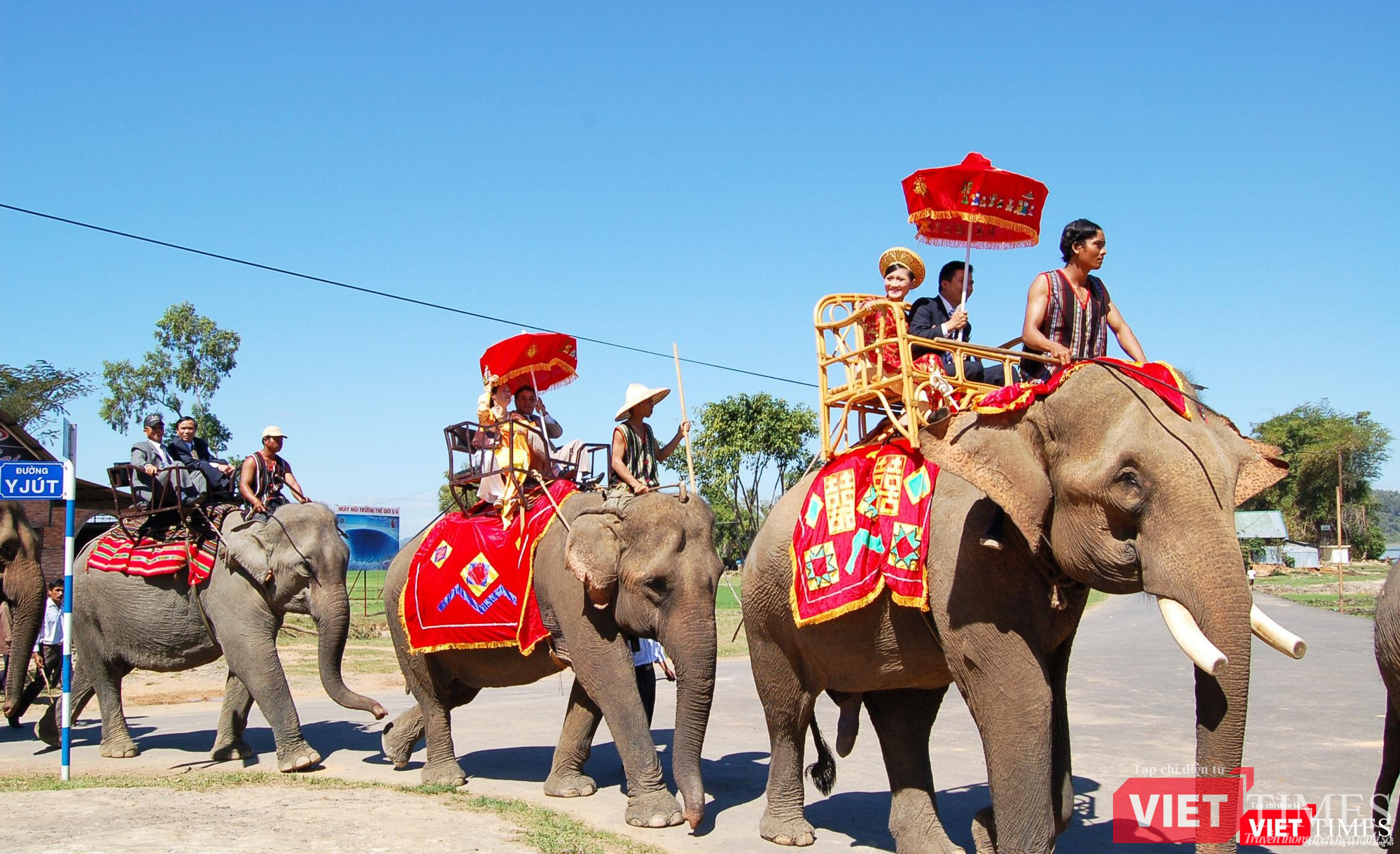 Cô dâu Trà My trên lưng voi năm 2013 Cô dâu Diễm My bắt chồng về ở rể năm 2019