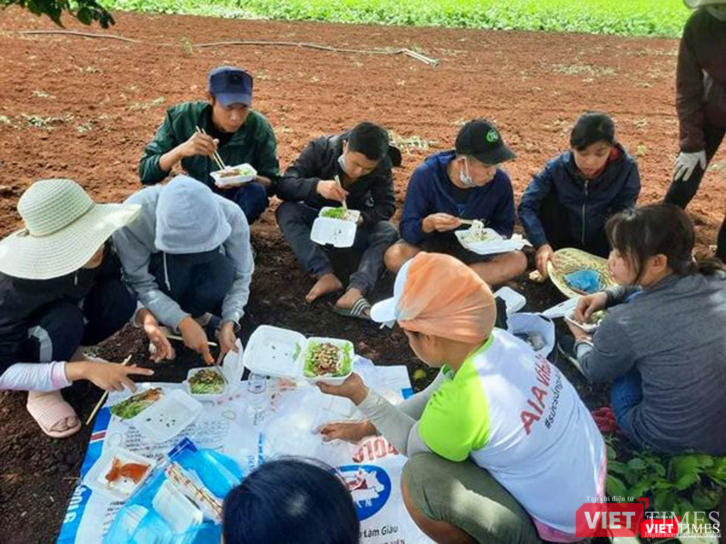Bữa cơm vội vã trên đồng rau của các tình nguyện viên thầm lặng