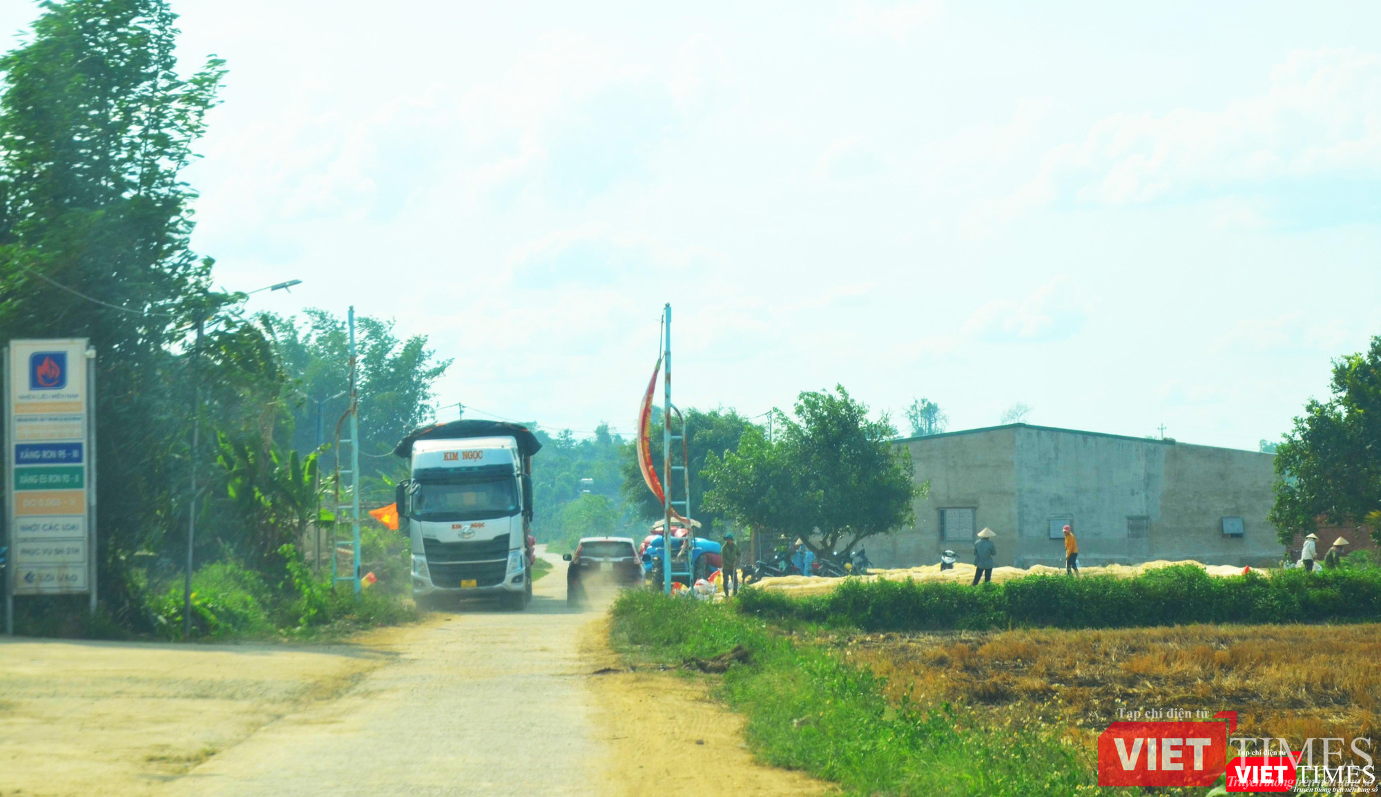 Xe tải lớn vào tận thôn mua lúa Xe tải lớn vào tận thôn mua lúa