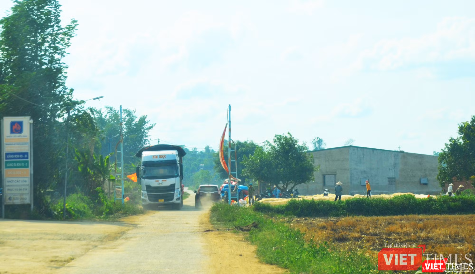 Xe tải lớn vào tận thôn mua lúa