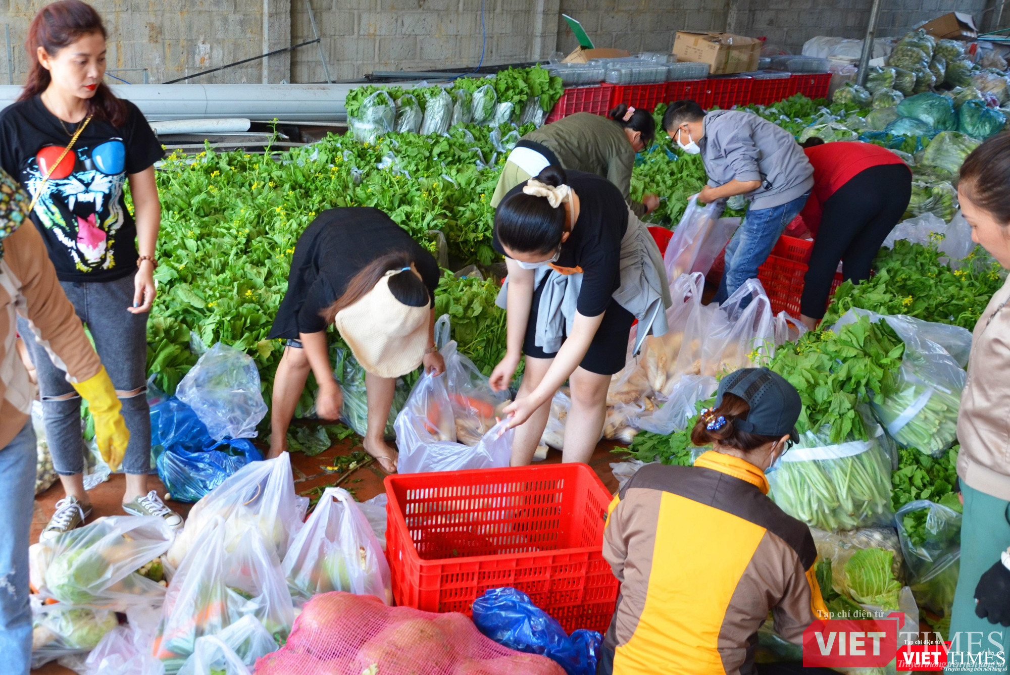 Team Rau 47 hối hả đóng gói hàng