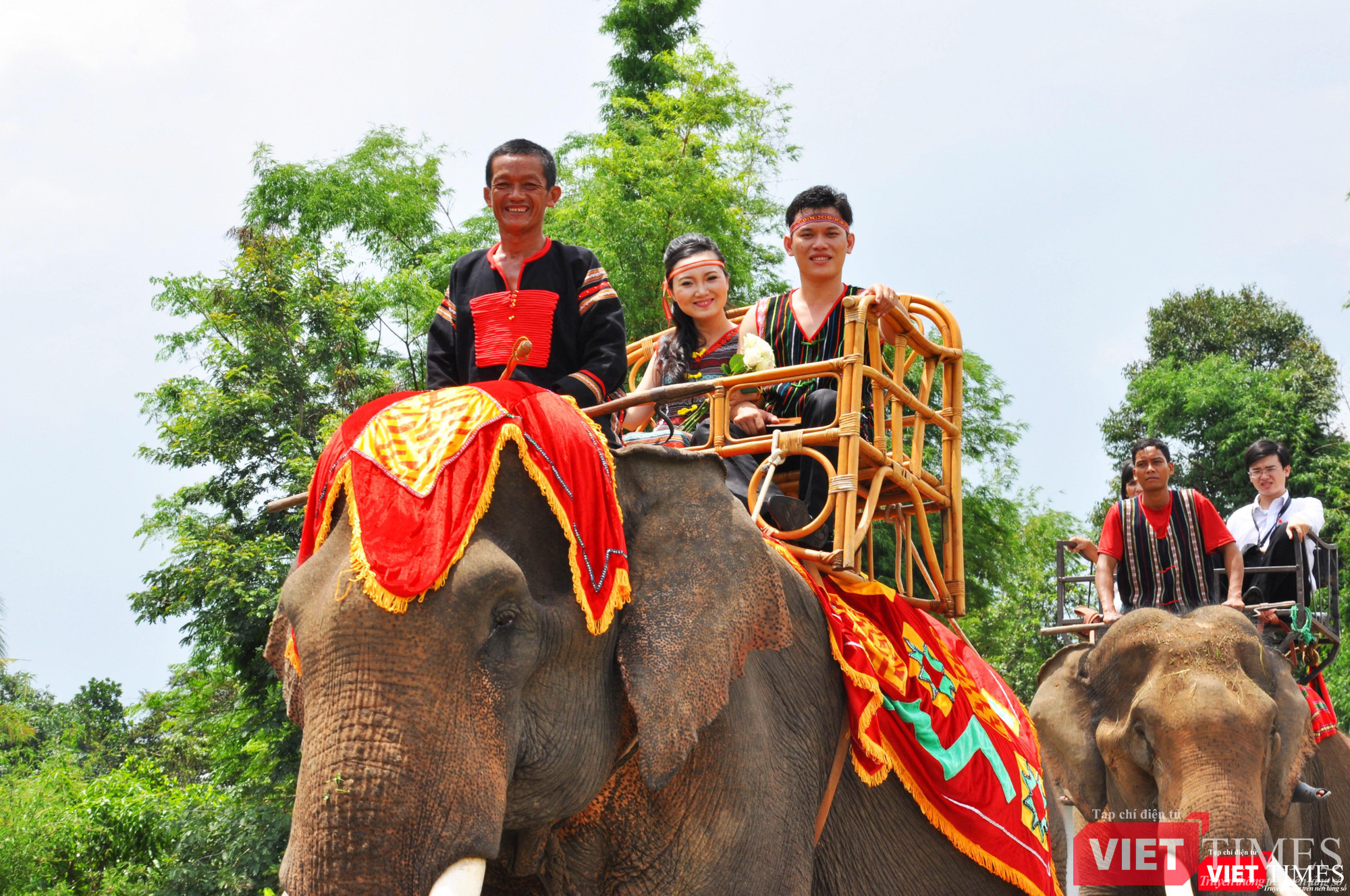 Nụ cười hạnh phúc, tươi tắn trên lưng voi