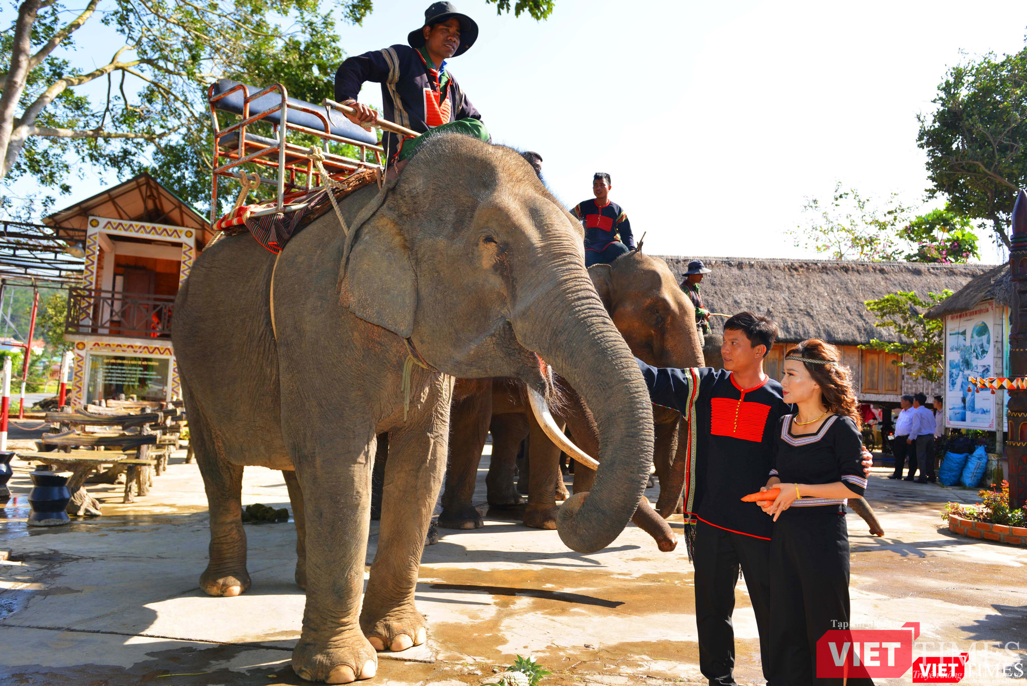 Cô dâu Diễm My bắt chồng về ở rể năm 2019