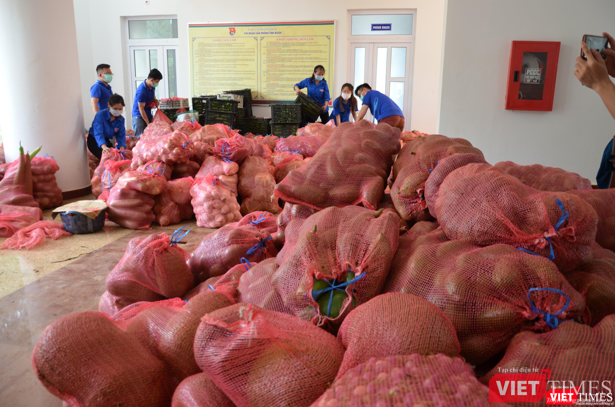 Tỉnh Đoàn thành nơi tập kết rau củ quả cho UB MTTQ tỉnh