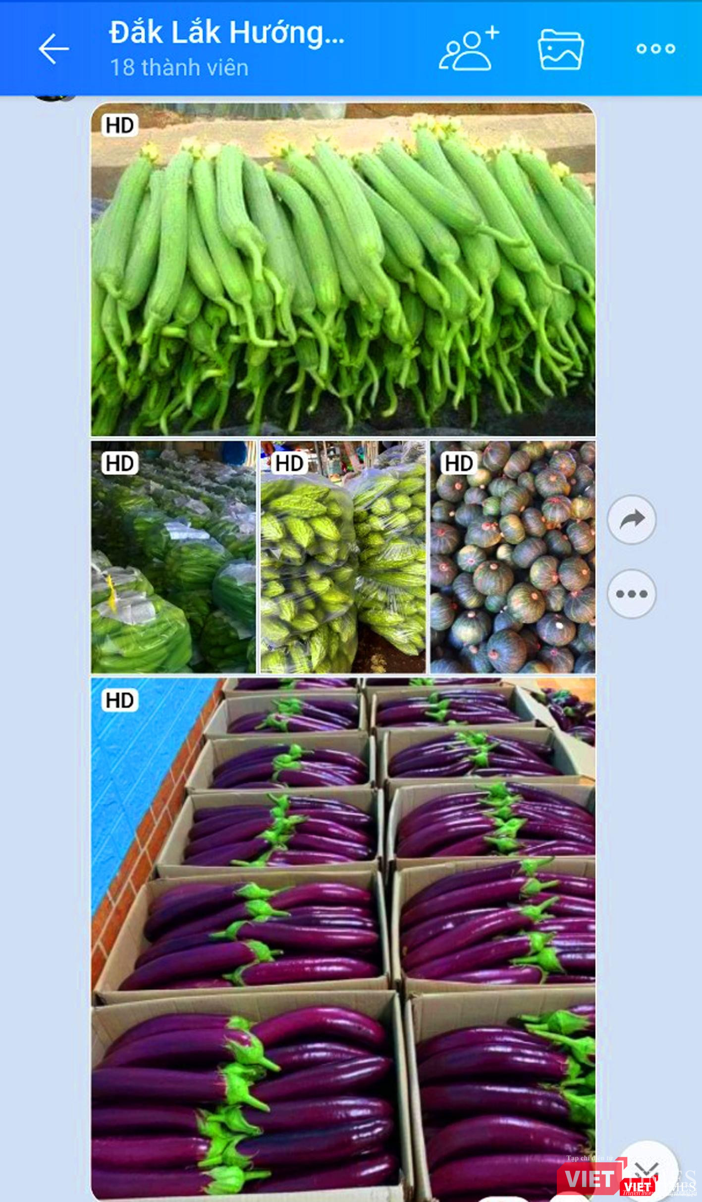 "Cách cho" thể hiện tấm lòng của nhà vườn gửi đến Team "Rau Đắk Lắk..."