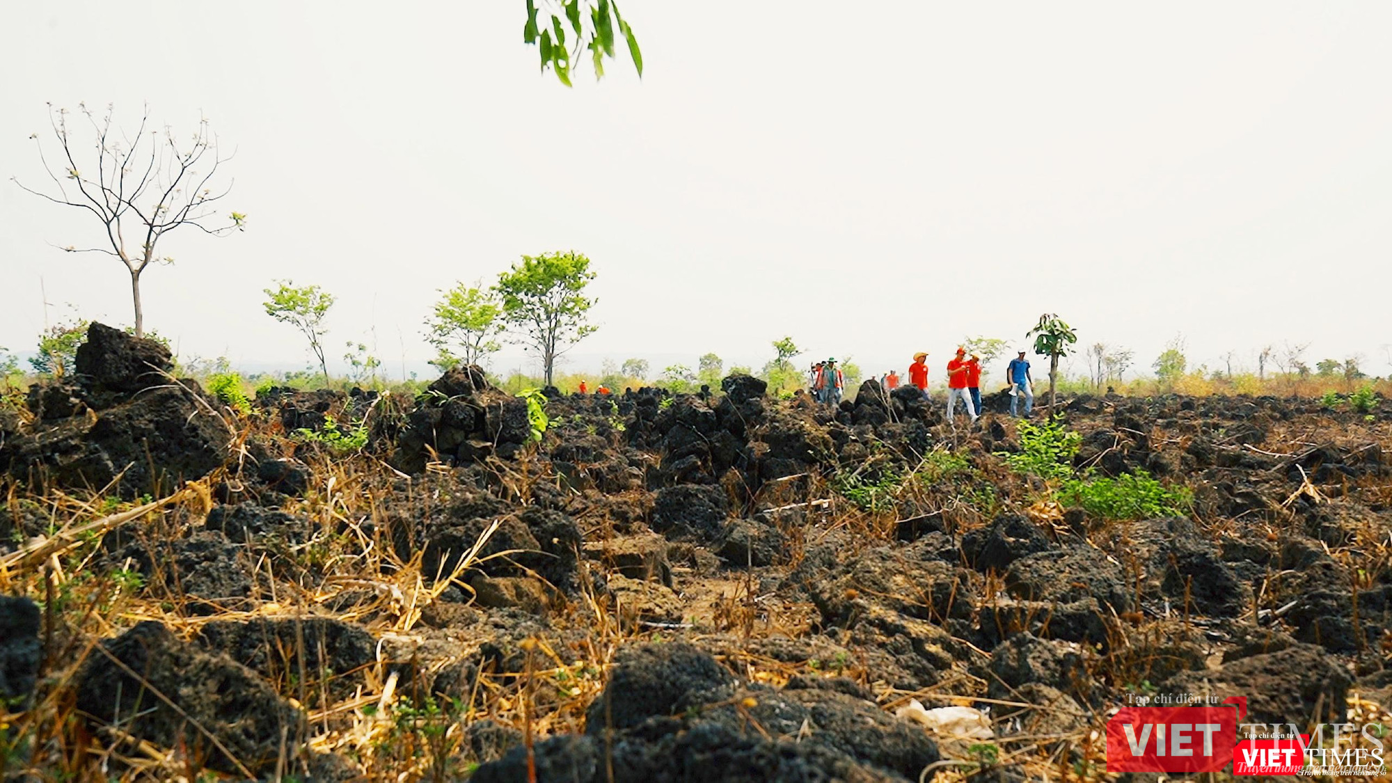 Cuốc bộ qua bãi đá mắc ma Cuốc bộ qua bãi đá mắc ma