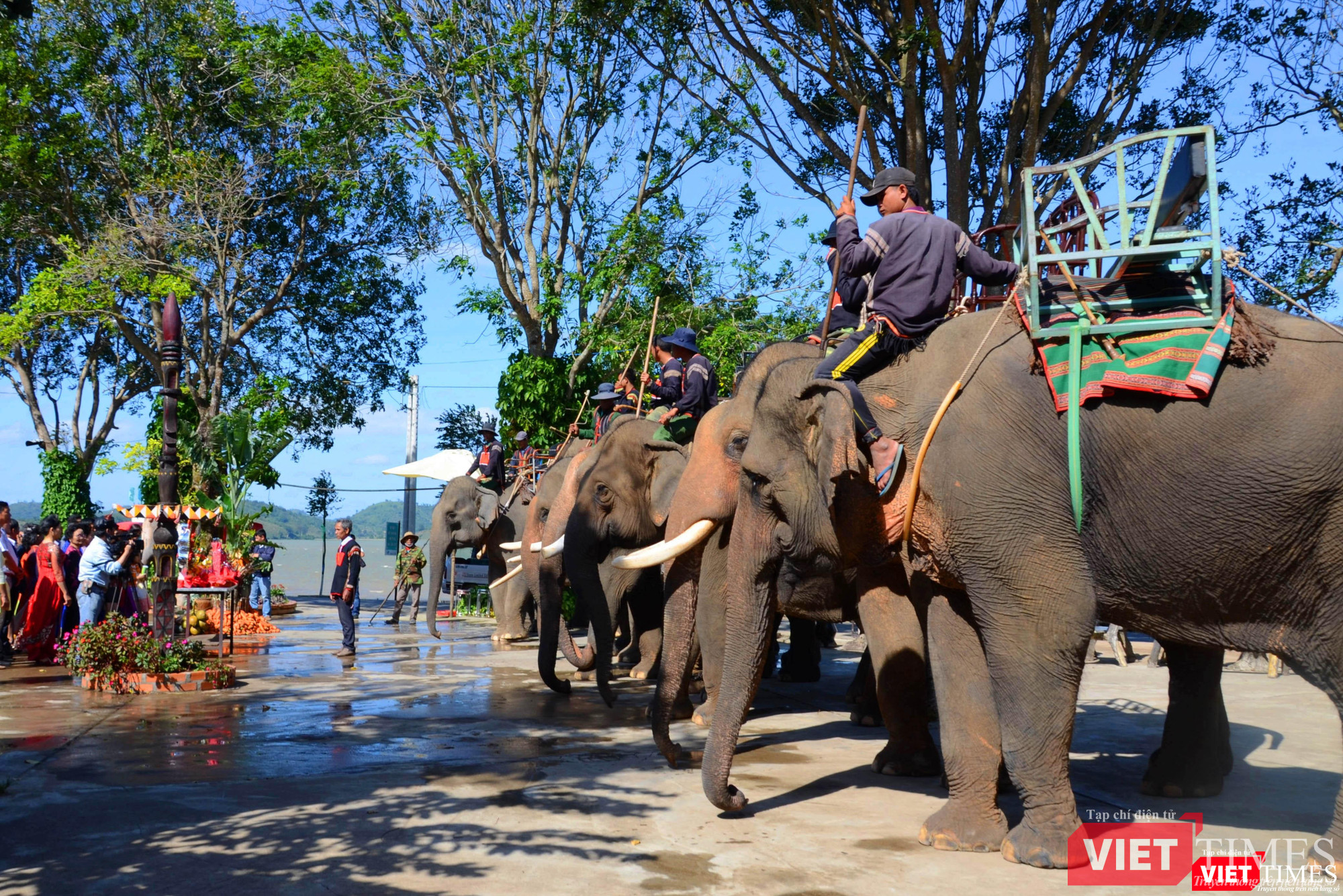 Trang nghiêm lễ cúng Thần Voi