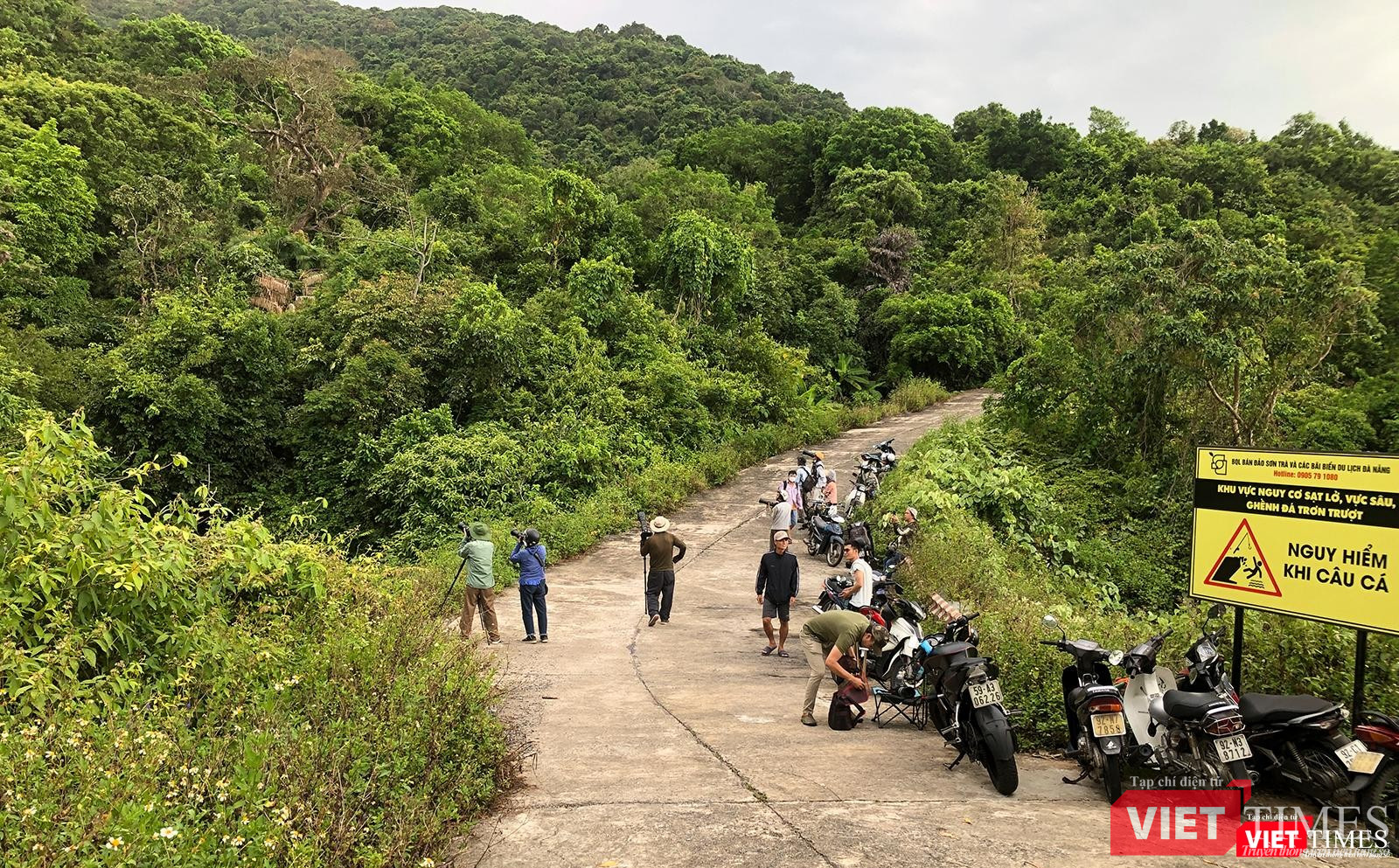 Giới mê nhiếp ảnh thiên nhiên dõi theo từng chuyển động của voọc chà vá chân nâu trên cây thàn mác tím