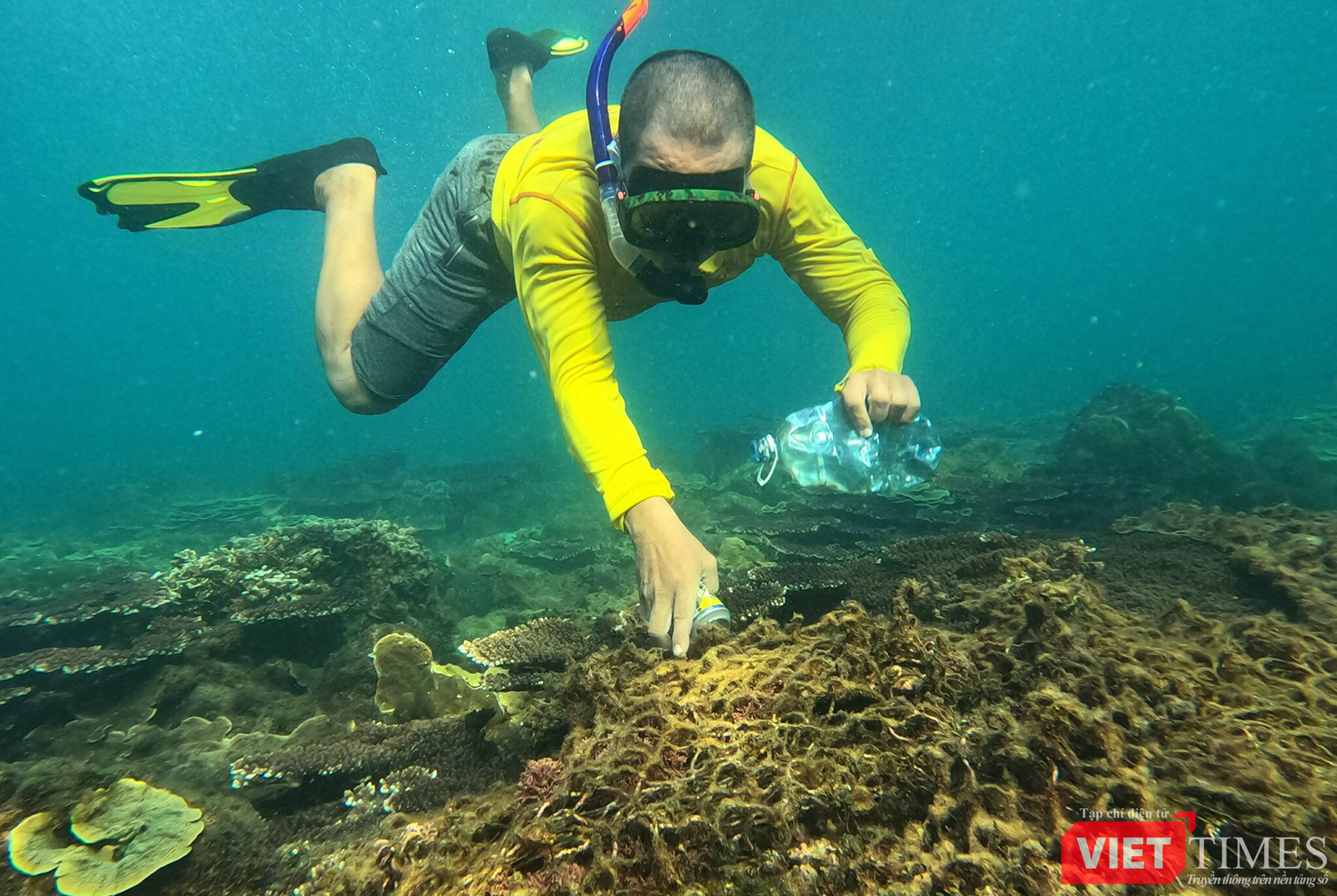 vt_aquaman da thanh 20.png