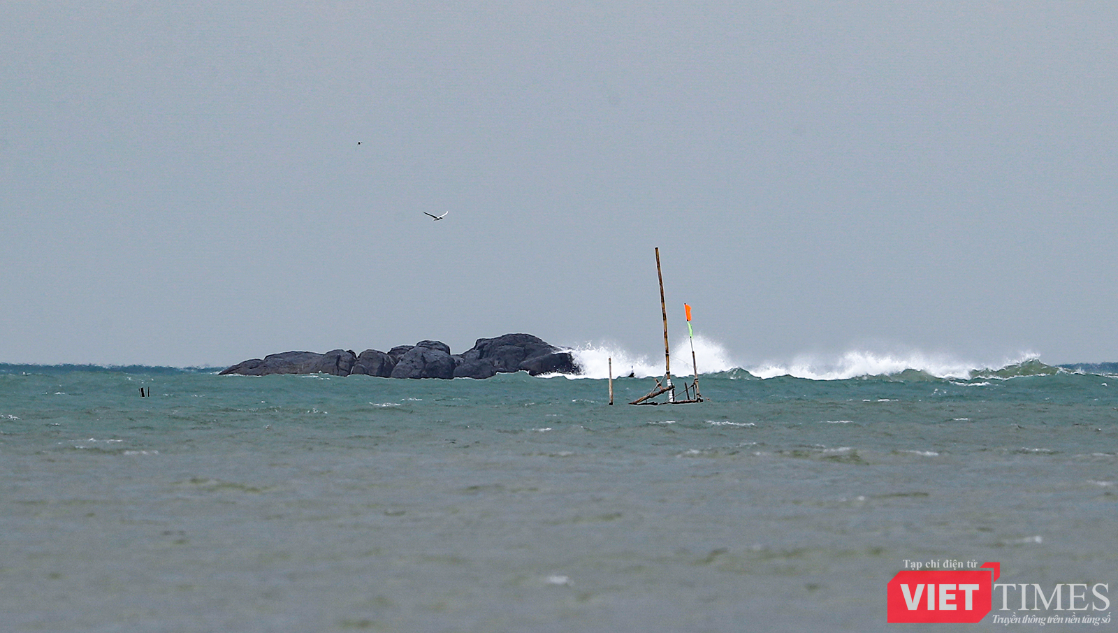 vt_aquaman da thanh 3.png