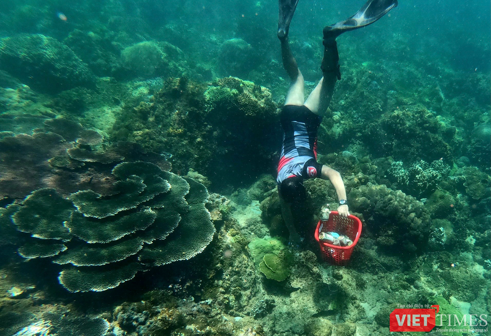 vt_aquaman da thanh 25.png