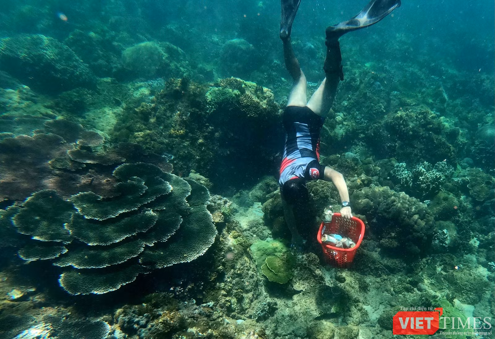 vt_aquaman da thanh 25.png